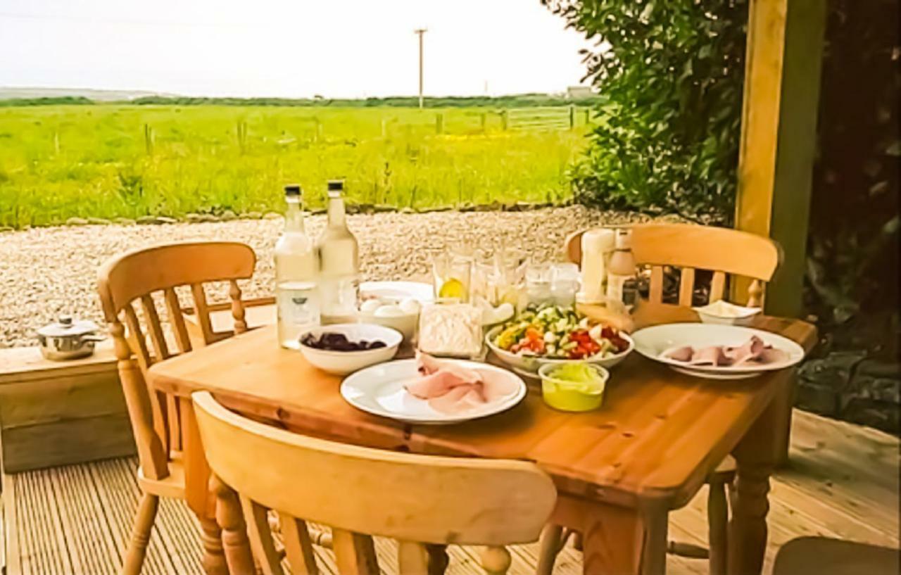 Ty Helyg Bed and Breakfast St David's Zewnętrze zdjęcie