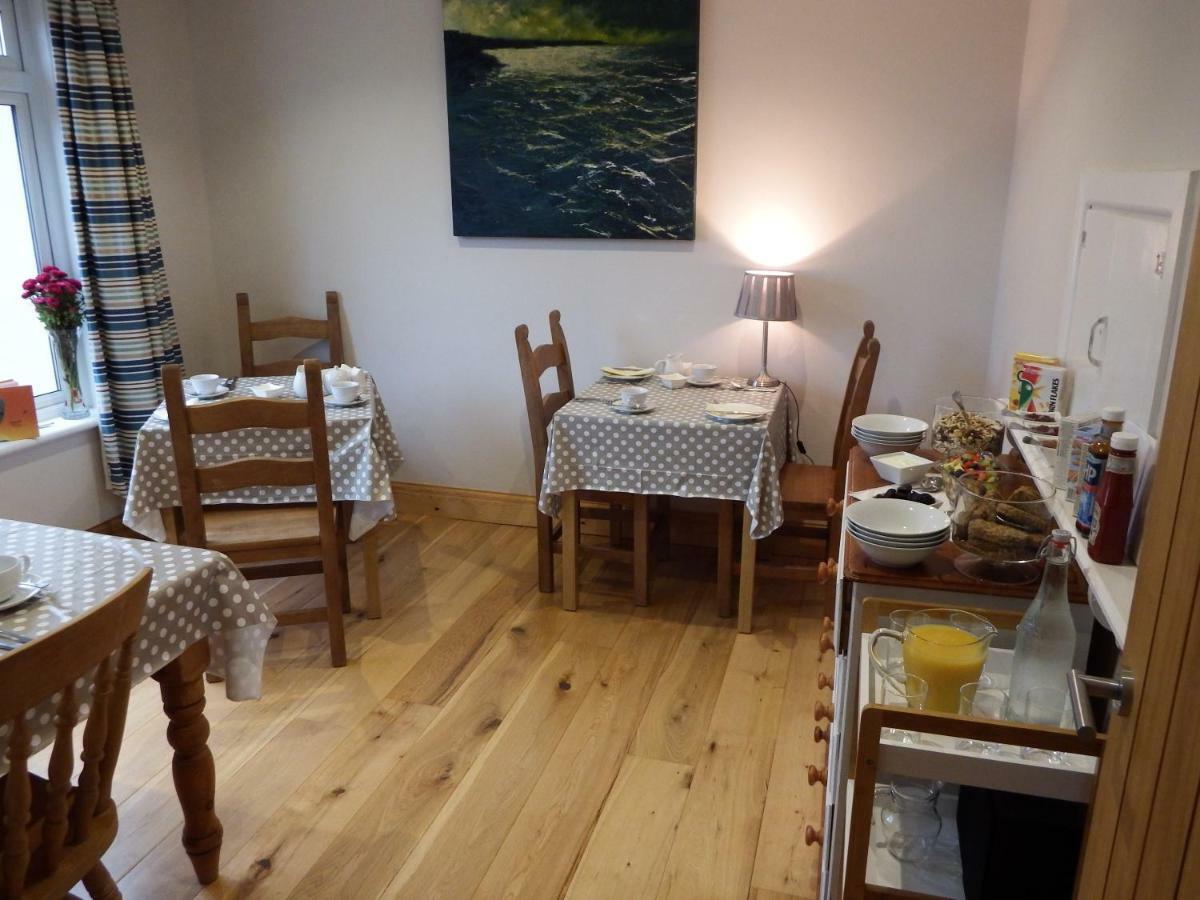 Ty Helyg Bed and Breakfast St David's Zewnętrze zdjęcie